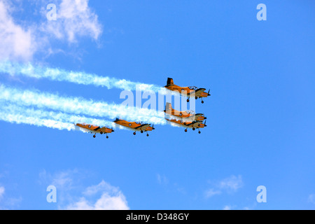 Real Fuerza Aérea de Nueva Zelanda mostrar encima del Tratado de Waitangi motivos durante las celebraciones del Día Waitnagi Foto de stock