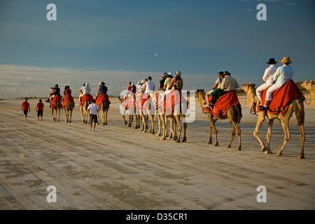 Un paseo en camello por la playa Cable -- en un amanecer o atardecer- es una tradición de visitante en Broome, Australia Occidental. Foto de stock