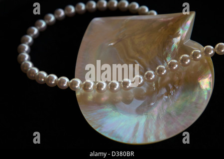 Perlas Broome en exhibición en perlas de Paspaley, Australia Occidental Foto de stock