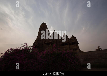 Ángulo de visión baja de bougainvillea flor delante de una antigua  residencia de piedra Fotografía de stock - Alamy