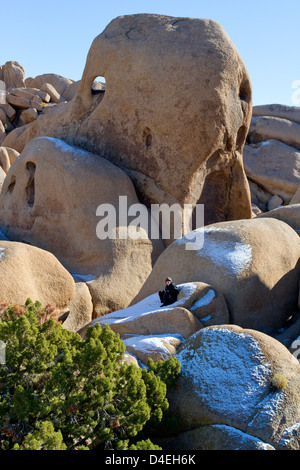 Inusuales y singulares formaciones rocosas de granito cerca de Skull Rock en el Parque Nacional Joshua Tree, California, EE.UU. en enero Foto de stock