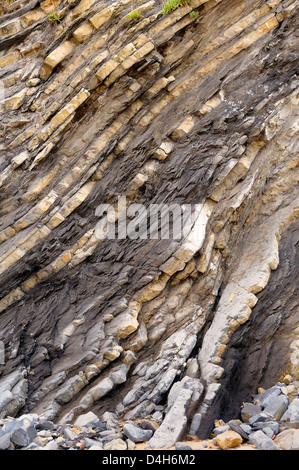 Plegar las capas sedimentarias del Jurásico y margas calizas rocas en los acantilados, en la playa de Vega, Ribadesella, Asturias, España