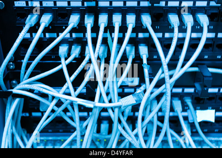 Conmutador de red y cables ethernet
