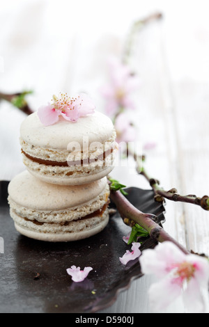 Macarons franceses decorado con flores de cerezo rosa Foto de stock
