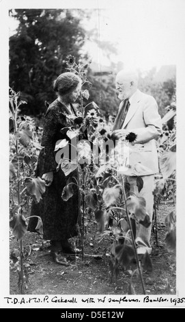 Porter Wilmatte Cockerell (1871-1957) y Theodore Dru Alison Cockerell (1866-1948) Foto de stock