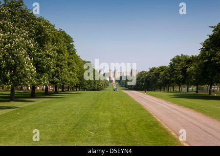 Inglaterra, Berkshire, Windsor, el castillo y la larga caminata desde Windsor Great Park