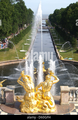 La fuente de Sansón y agua en Avenida Palacio Peterhof, San Petersburgo