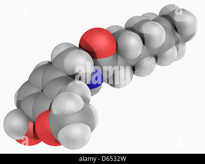 La capsaicina molécula Foto de stock