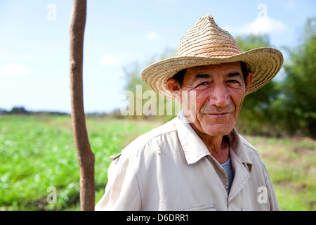 Retrato de un anciano con sombrero trabajando en campo como campesino y campesino en la cooperativa agraria ANAP en Guines, Cuba. Empleo manual en agricultura