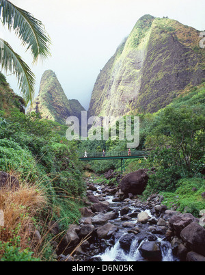 Aguja Īao Īao Valley State Park, montañas de West Maui, Maui, Hawai, Estados Unidos de América Foto de stock