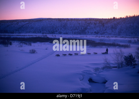 Noruega Finnmark, cerca de Karasjok, Mid-Winter, trineos de perros, alrededor del mediodía el equipo Foto de stock