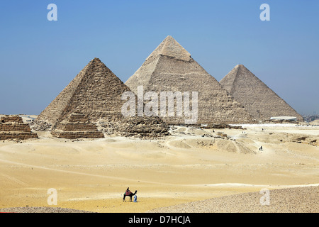 Conductores de camellos delante de las pirámides de Giza, en El Cairo, Egipto, Norte de África