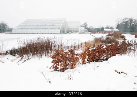 Bicentenario Glasshouse y Herbáceas fronteras en la nieve; fotografiados en RHS WISLEY Gardens en Surrey, Inglaterra. Foto de stock