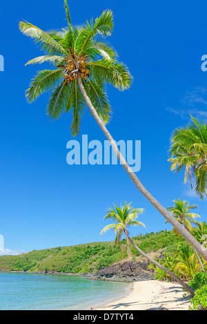 Playa Tropical, Drawaqa Island, el grupo de islas Yasawa, Fiji, Islas del Pacífico Sur. Foto de stock