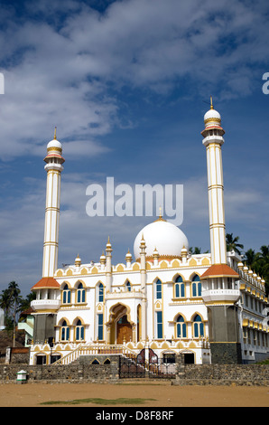 Vizhinjam mezquita, Sur de la India Foto de stock