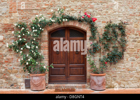 Puerta de madera antigua con rosas en la Toscana, Italia Foto de stock