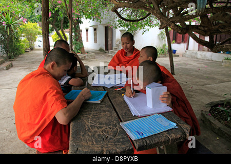 Jóvenes monjes a estudiar inglés en el Jardín del templo, Luang Prabang, Laos