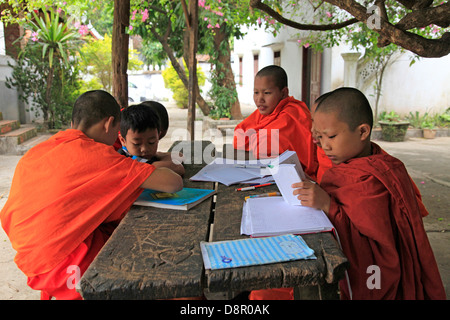 Jóvenes monjes a estudiar inglés en el Jardín del templo, Luang Prabang, Laos