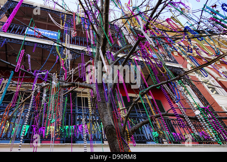 Abalorios colgando de un árbol después de Mardi Gras en Nueva Orleans, Luisiana Foto de stock