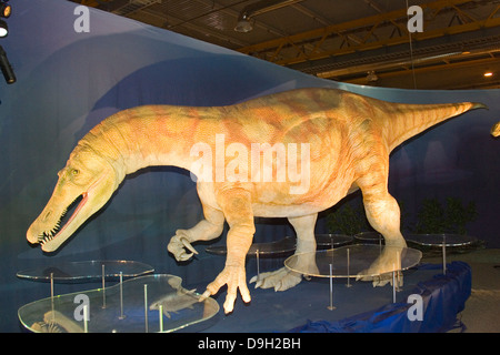 Europa, Italia, Lombardía, Cremona, exposición de reproducciones de dinosaurios, baryonyx Foto de stock