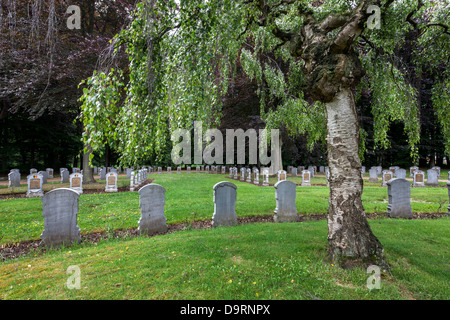 El WWI cementerio militar belga Houthulst con tumbas de la Primera Guerra Mundial, uno de los soldados, en el oeste de Flandes, Bélgica Foto de stock