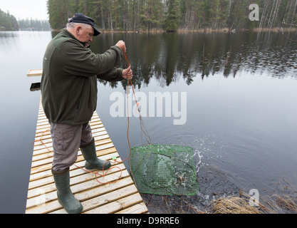 Anciano comprobando una trampa de peces ( katiska ) , Finlandia Foto de stock