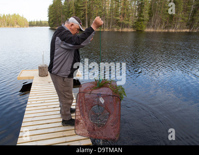 Anciano sosteniendo un bote rysä trampa ( ) para los peces, Finlandia Foto de stock