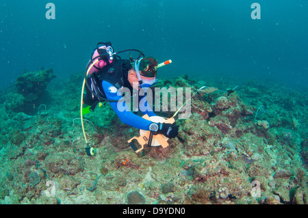 Pesca La realización de un análisis de la biodiversidad y manejo del arrecife, Brunei Foto de stock