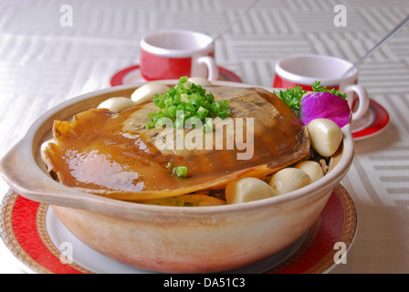 Estofado de tortuga fotografías e imágenes de alta resolución - Alamy