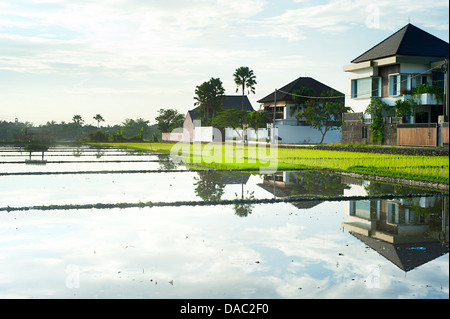 Casas rurales reflejando en los campos de arroz durante la puesta de sol en la isla de Bali, Indonesia Foto de stock