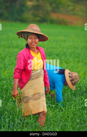 Dos mujeres que trabajan sobre un campo, Birmania, Kalaw Foto de stock