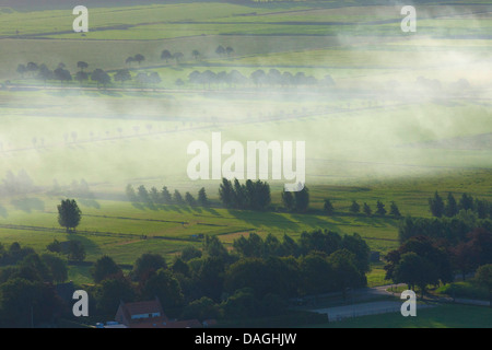 Vista aérea de la zona agrícola con campos, praderas de árboles desde el aire en primavera, Bélgica, Kempen Foto de stock