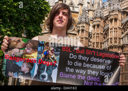 Londres, Reino Unido. El 13 de julio de 2013. Un activista anti-BSL con su banner durante una protesta en Londres contra la raza de una legislación específica para los llamados perros peligrosos. Crédito: Paul Davey/Alamy Live News Foto de stock