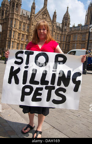 Londres, Reino Unido. El 13 de julio de 2013. Un activista anti-BSL con su mensaje directo durante la protesta en Londres contra la raza de una legislación específica para los llamados perros peligrosos. Crédito: Paul Davey/Alamy Live News Foto de stock