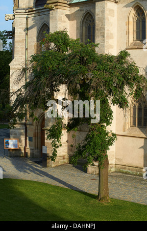 Catedral de San Barbora (St. Barbara's Church), Kutna Hora, República Checa Foto de stock