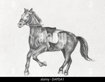 Scetch de caballo, dibujo a lápiz sobre papel blanco, artista de 15 años de edad. Foto de stock