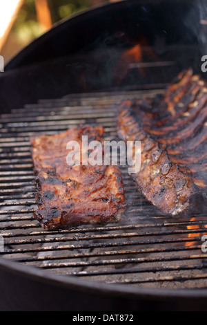 Carne De La Carne Asada En El Asador Eléctrico Imagen de archivo - Imagen  de rejilla, cocina: 10127457