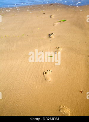 Huellas en la arena de la playa Holkham Norfolk Inglaterra Foto de stock