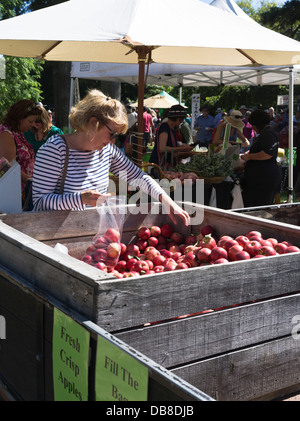 dh Domingo Farmers Market HASTINGS NUEVA ZELANDA Lady recogiendo fruta las tiendas de comestibles verdes de la bahía de hawkes alimentos frutas frescas Foto de stock
