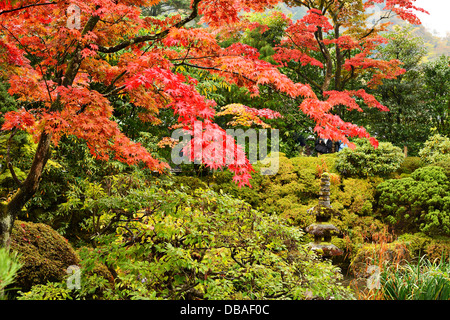 Jardín Japonés en Nikko, Japón.