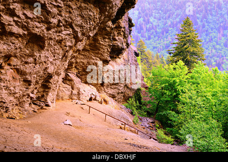 Cueva de alumbre en el Great Smoky Mountains National Forest.