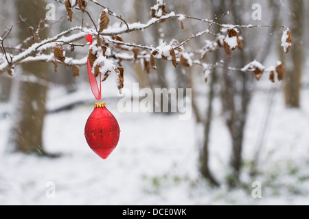 Un único rojo colgando de un adorno de madera cubierto de nieve. Foto de stock