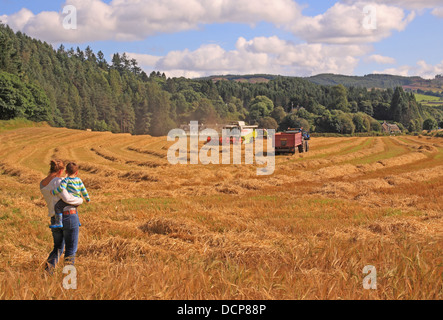 Reino Unido Escocia, Perth y Kinross, agricultura de Tayside Tay Valley Foto de stock