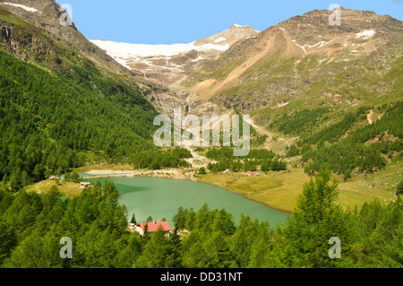Suiza - Lago Bianco - desde el Bernina Express Train - montañas - Piz Bernina + Piz Palu - la luz solar del verano Foto de stock