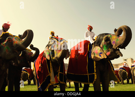 Mahouts con elefantes en Elephant Festival, Jaipur, Rajasthan, India