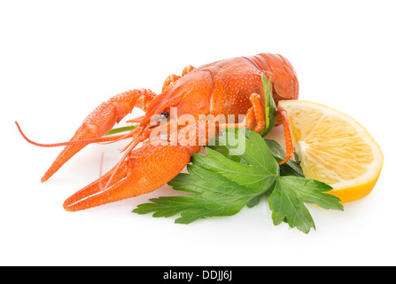 El cangrejo de río y limón aislado sobre un fondo blanco. Foto de stock