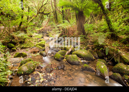Matai cae cerca de Papatowai, Isla del Sur, Nueva Zelanda Foto de stock