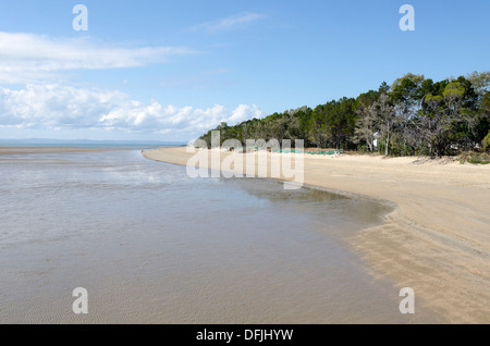 Playa y costa en Hervey Bay, Queensland, Australia Foto de stock