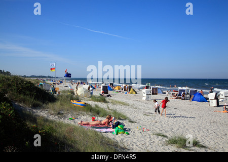 Cerca de la playa, Maasholm Schlei, Mar Báltico, Schleswig-Holstein, Alemania Foto de stock
