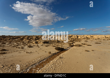 El desierto Bardenas Reales, Reserva de la Biosfera por la UNESCO, provincia de Navarra, en el norte de España, España, Europa